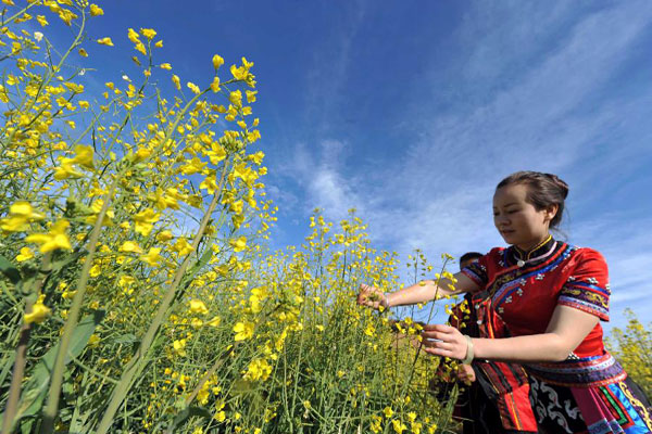 Plan a trip to colorful Yunnan