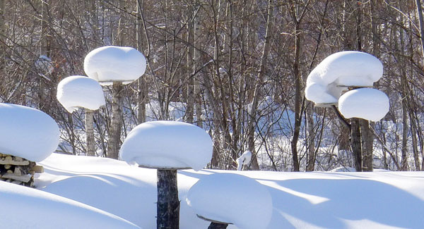 Wintery scenery of a small village in Heilongjiang