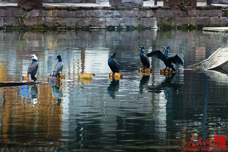 Picturesque! Four-day trip to S China