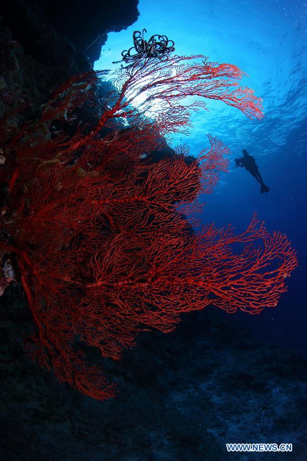 Beautiful scenery of Xisha Islands