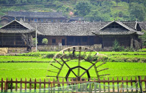 Off the beaten Thai track