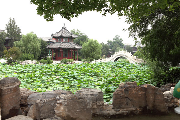 Old Lotus Pond ripples with history