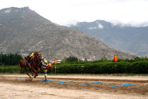 Horse-racing of Shoton Festival in Tibet