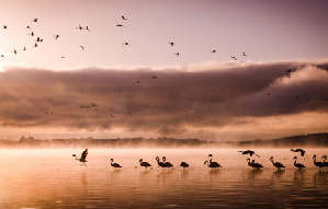 Magnificent Yellow River shrouded in fog