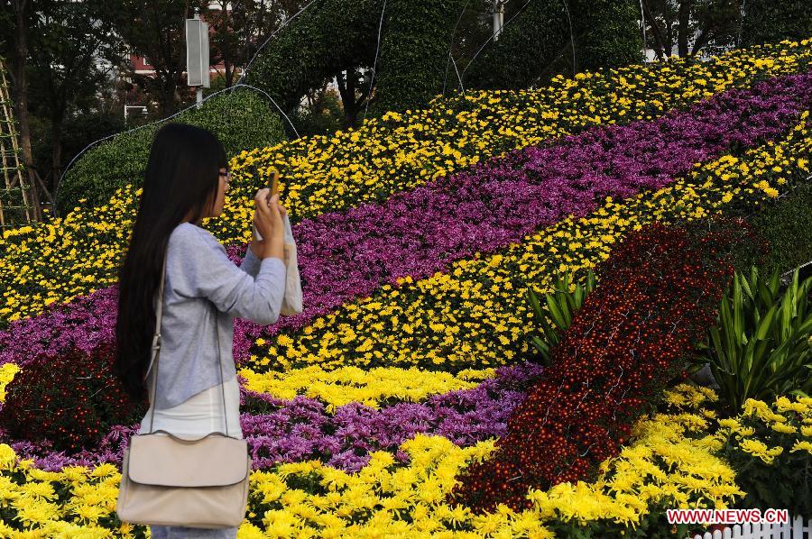 Wuhan Chrysanthemum Exhibition attracts vistors