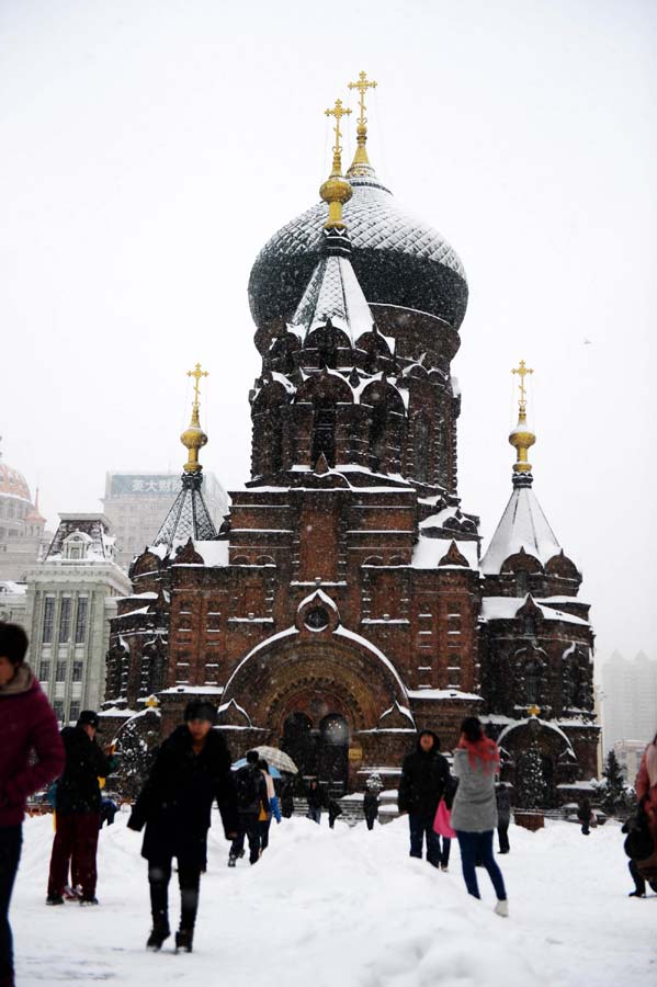 First snowfall brings seasonal charm to Harbin