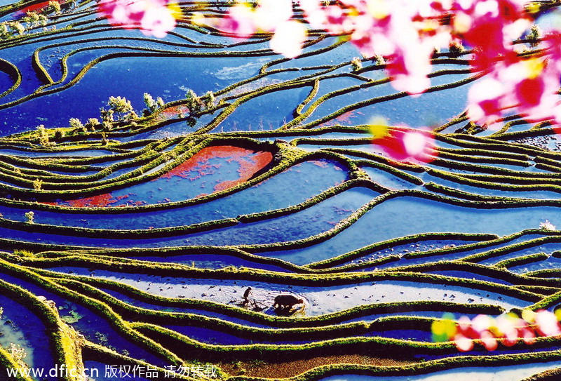 Top 10 most beautiful terraces in China