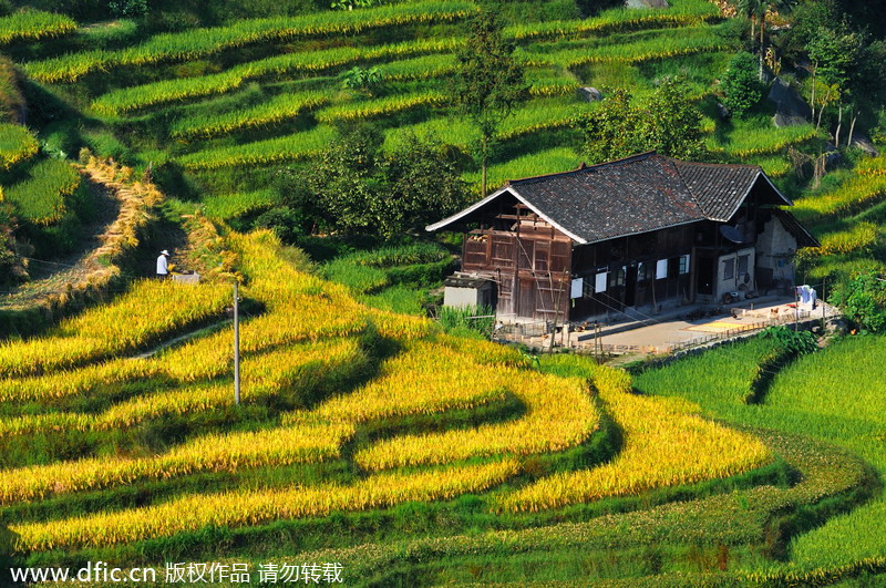 Top 10 most beautiful terraces in China