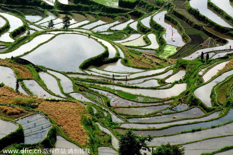 Top 10 most beautiful terraces in China