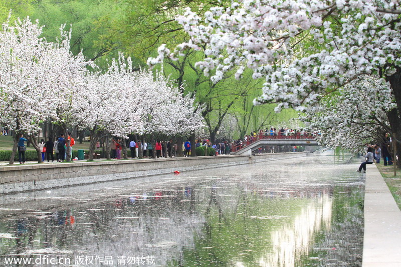 Qingming holiday embraces tourist boom