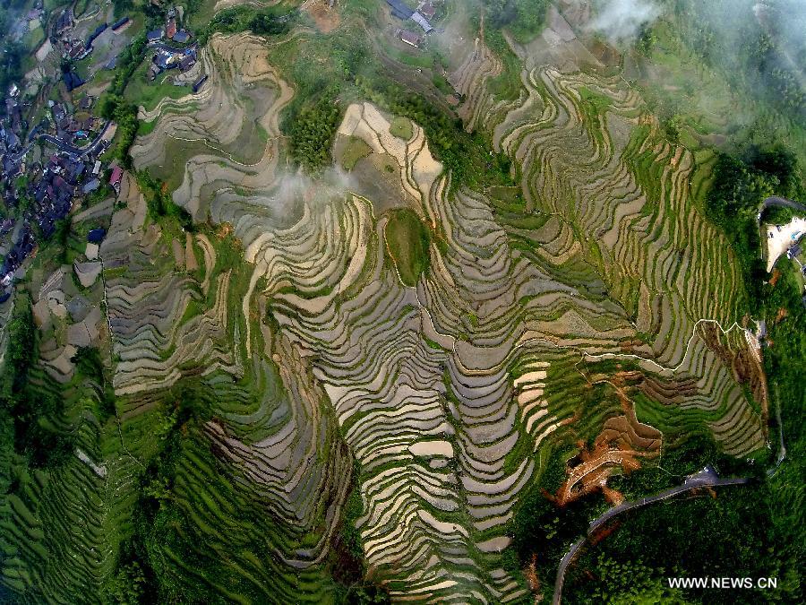 Terraced fields in Zhejiang