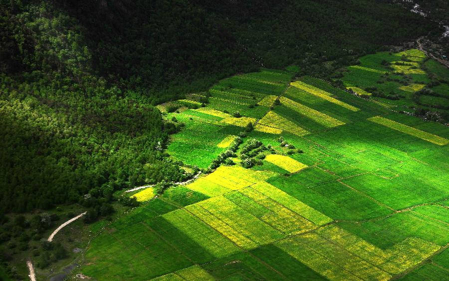 Scenery of Nyingchi prefecture in Tibet