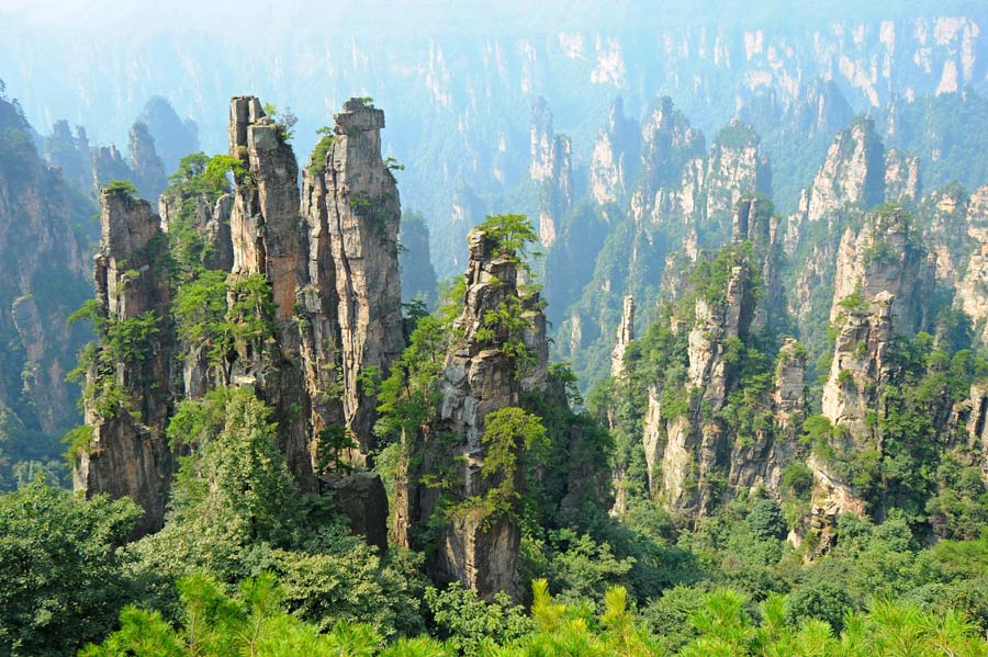 Explore China's World Heritage Site: Zhangjiajie