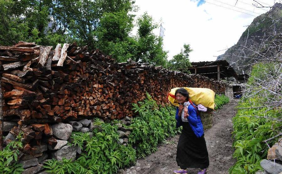 Scenery of Congo village in Tibet