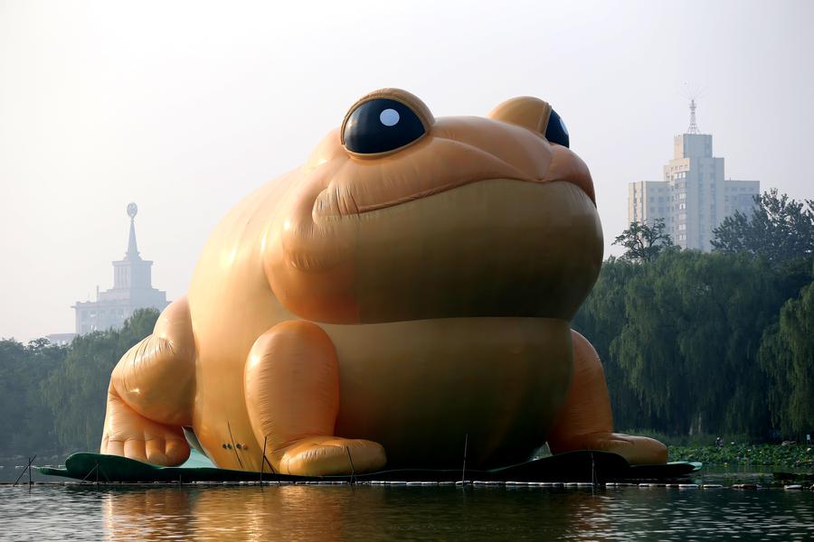 Giant inflatable toad appears in Beijing