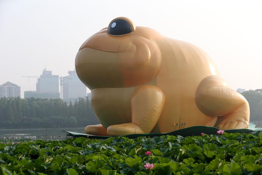 Giant inflatable toad appears in Beijing