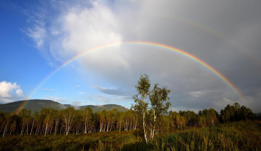 Natural scenery of Arxan in Inner Mongolia