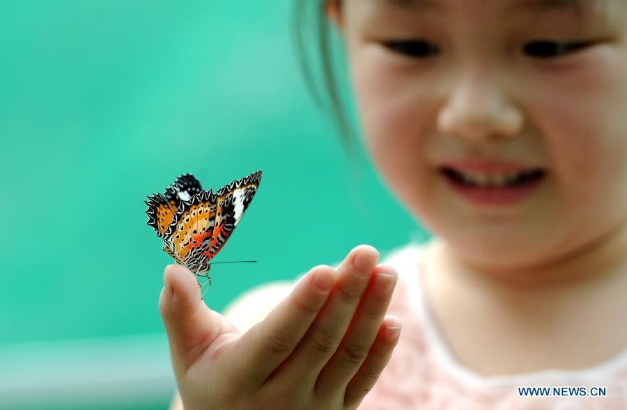 Butterfly carnival held in E China's Anhui