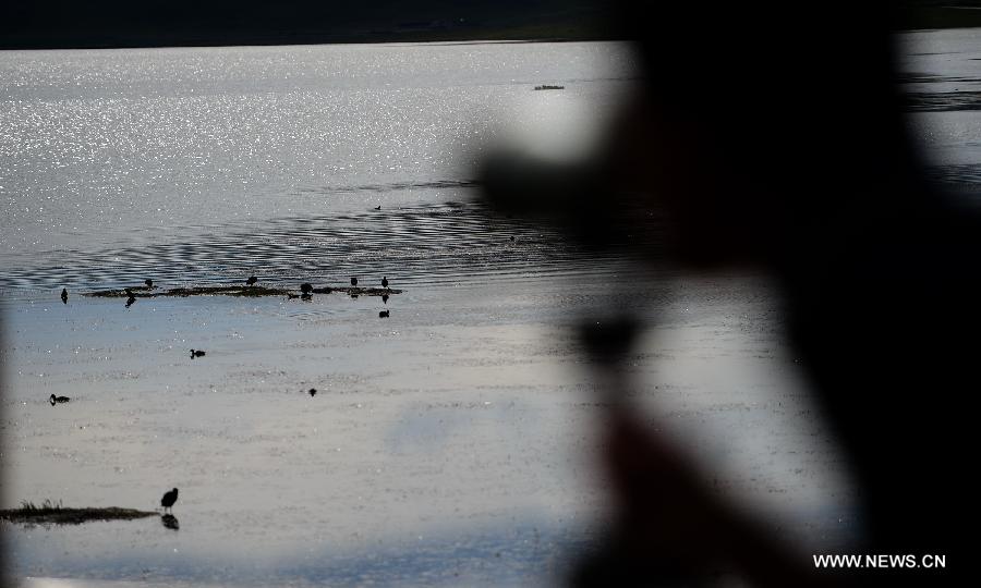 Beauty of Gahai Wetland in NW China's Gansu