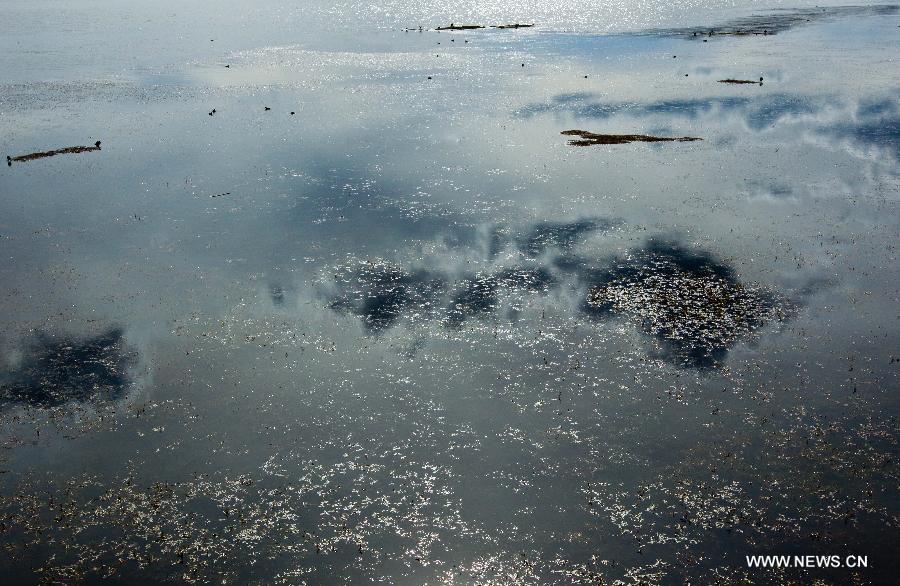 Beauty of Gahai Wetland in NW China's Gansu