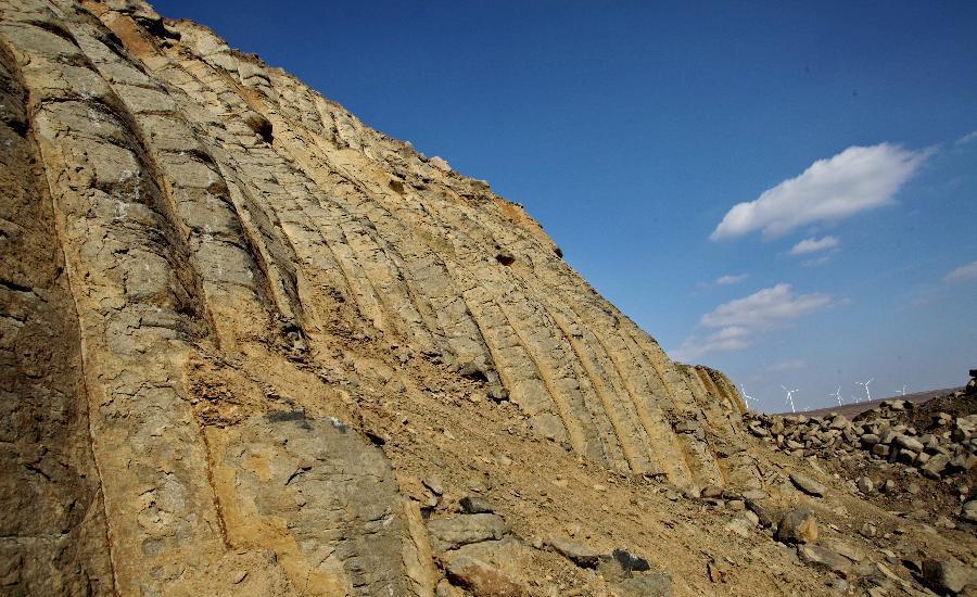 Large amount of basalt columns seen in Hebei