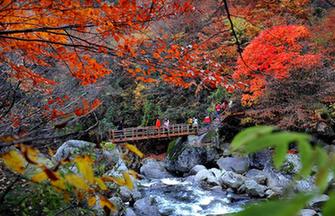 Autumn scenery in Xixi Wetland