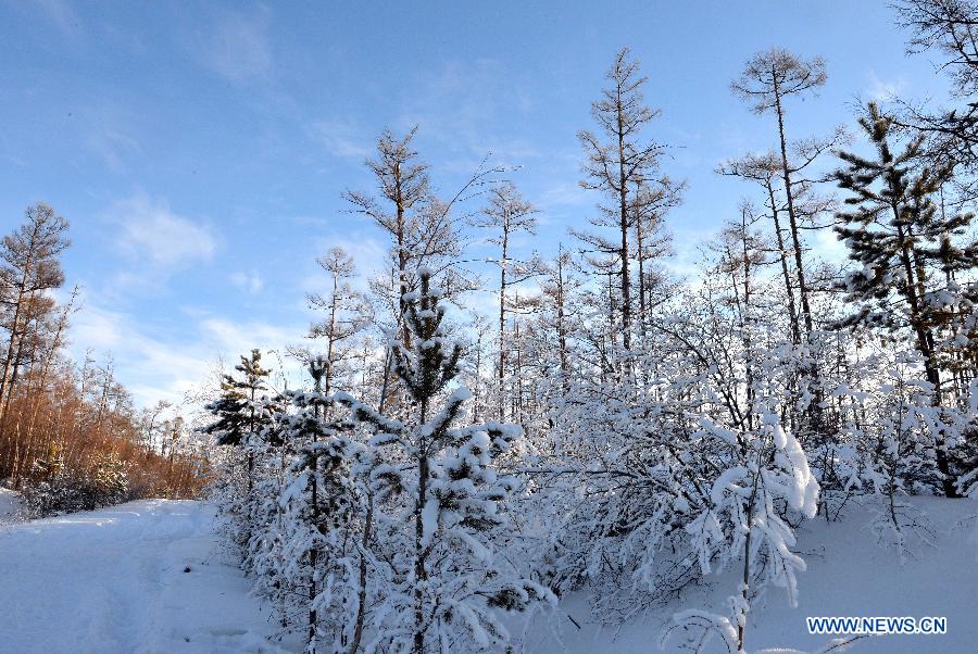 Winter scenery of Moridaga Forest Park