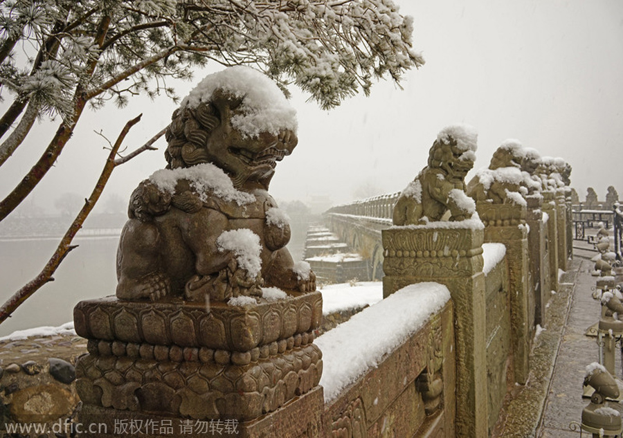 Snowfall hits Beijing amid Spring Festival