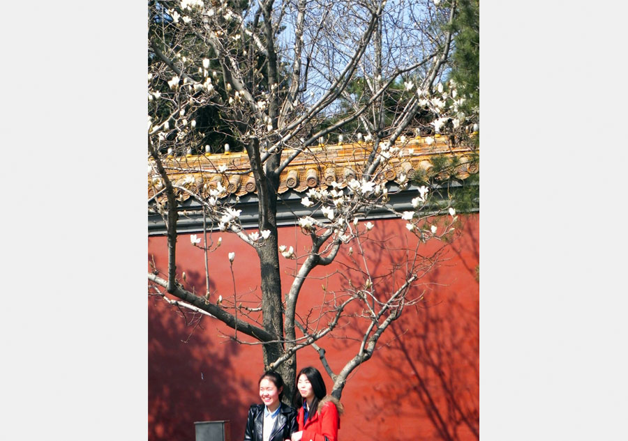 Spring flowers bloom across China