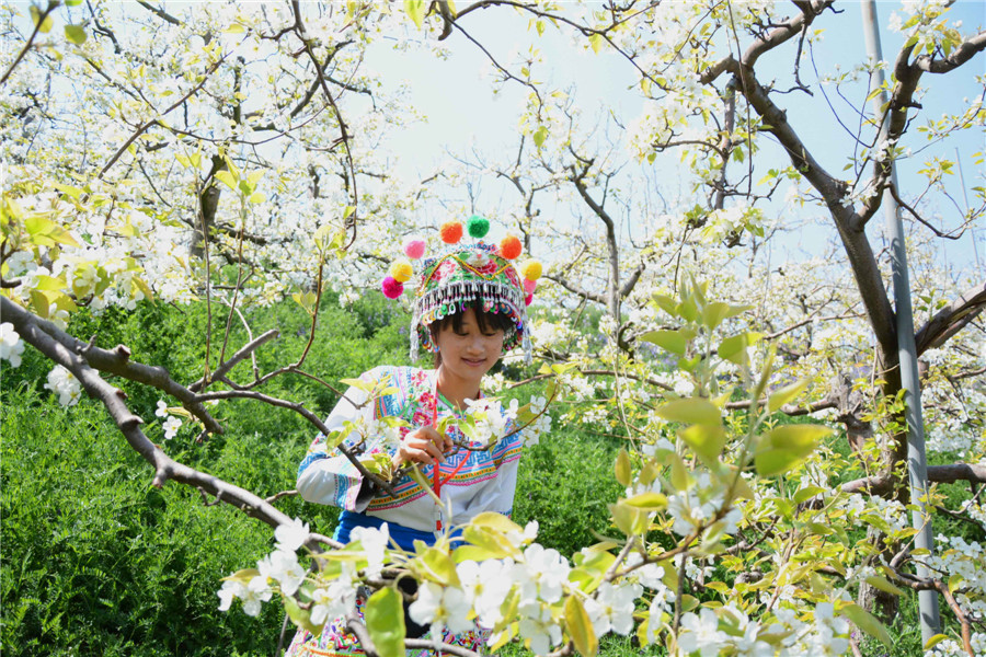 Spring flowers bloom across China