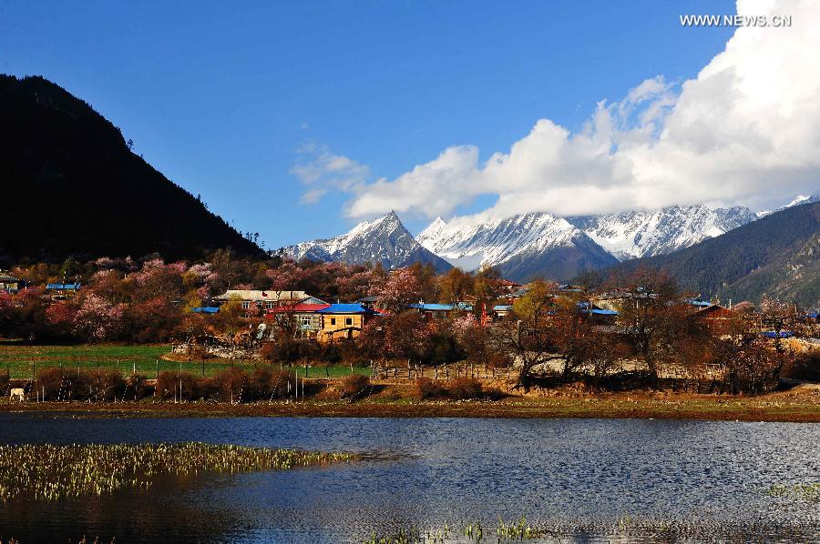 Picturesque spring scenery in Bomi county in Tibet