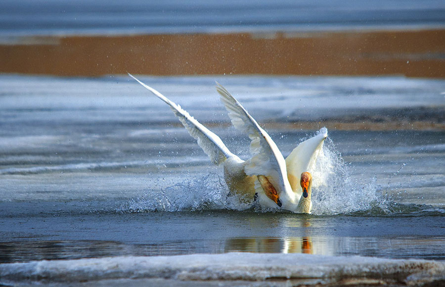 Scenery of Sayram Lake in China's Xinjiang