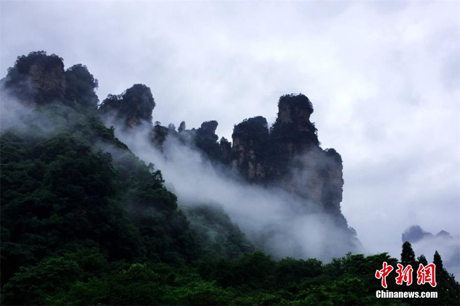 Eye-catching Wulingyuan Scenic Area shrouded by mist