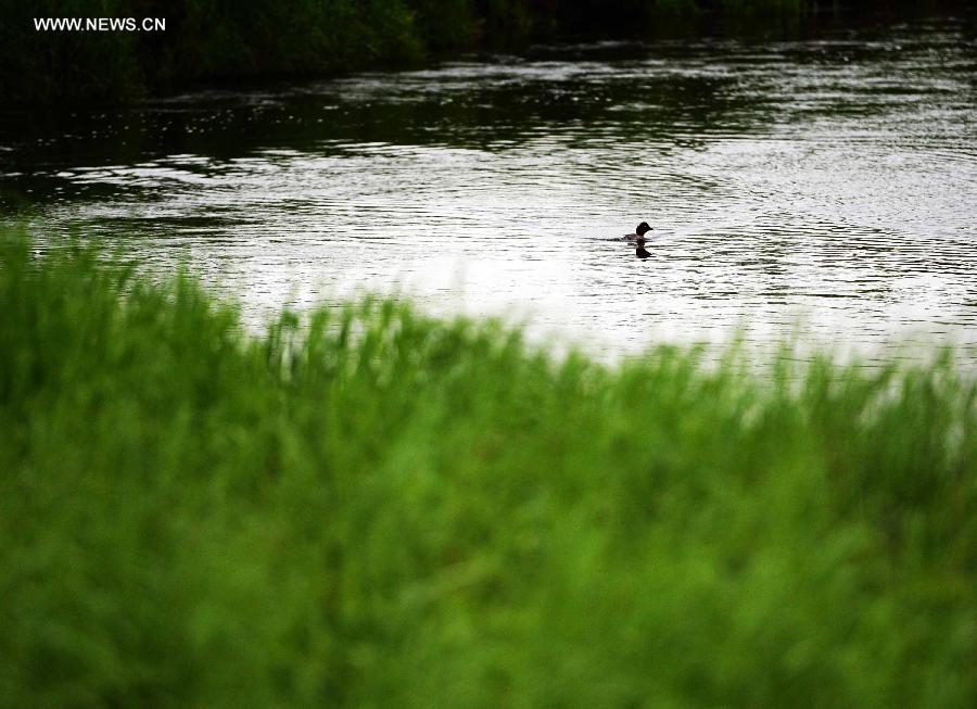 Scenery of Nanweng River National Nature Reserve