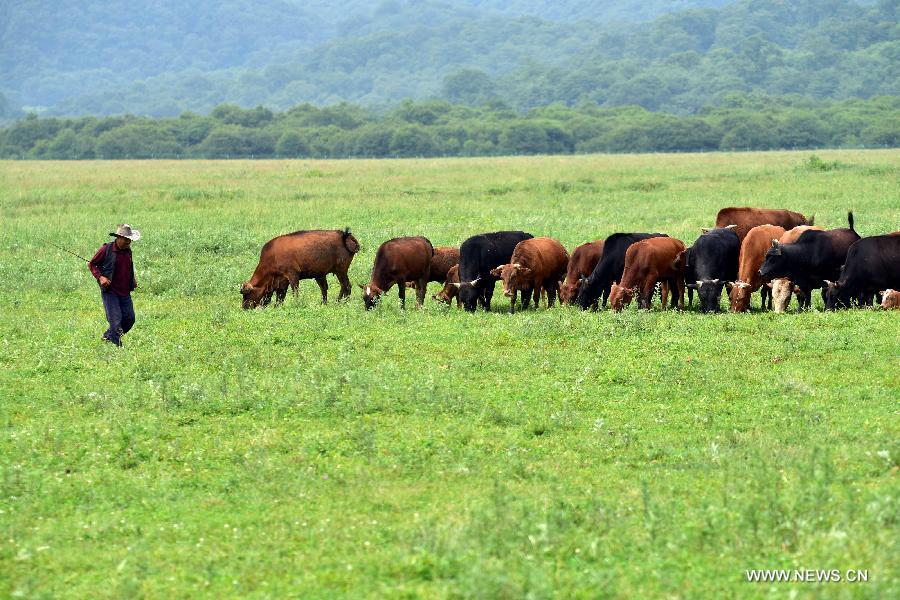 Amazing view of Dajiuhu Natiional Wetland Park in Shennongjia