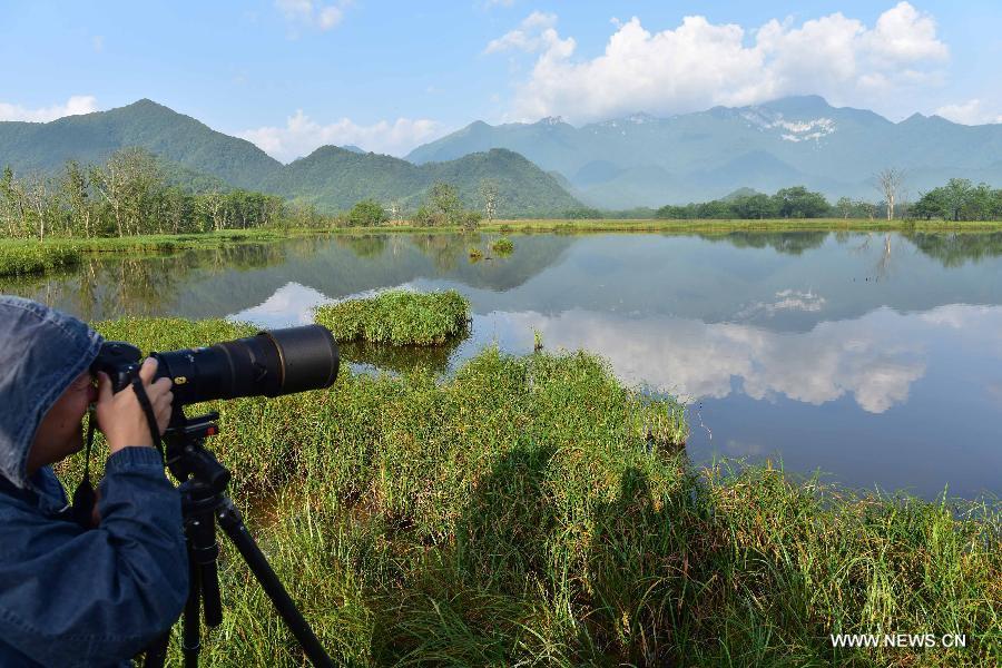 Amazing view of Dajiuhu Natiional Wetland Park in Shennongjia