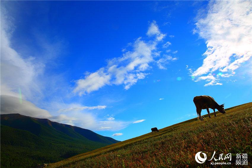 Intoxicating 'Shangri-la' in Xinjiang