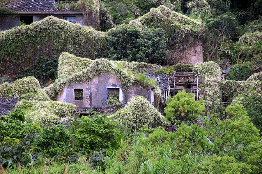 Zhejiang ancient village straight out of a fairytale