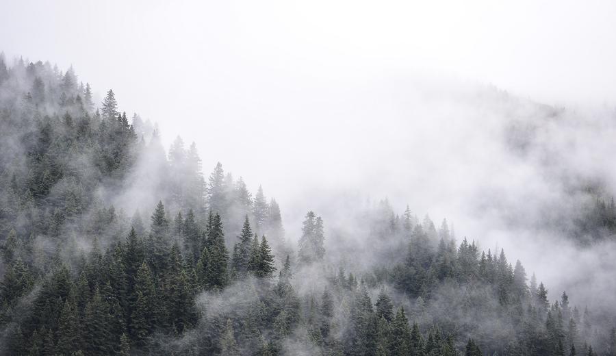 Scenery of Makehe primitive forest in Qinghai