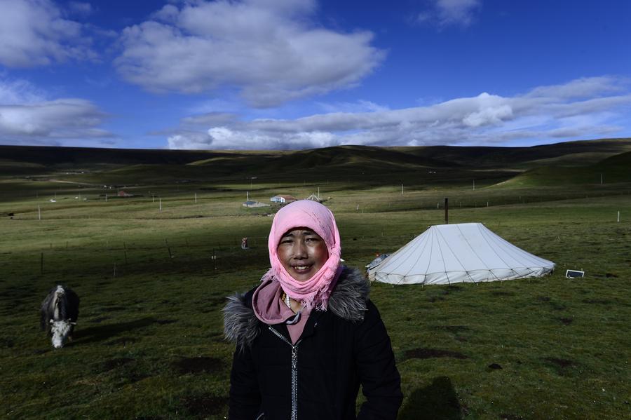 Autumn beauty unfolds on winter prairie in Qinghai