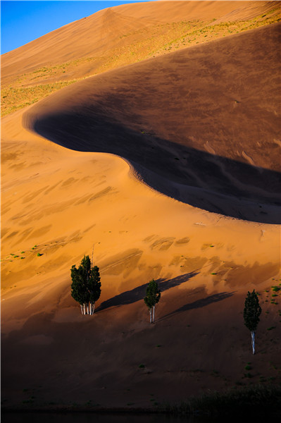 Autumn scenery of 2nd largest desert in China