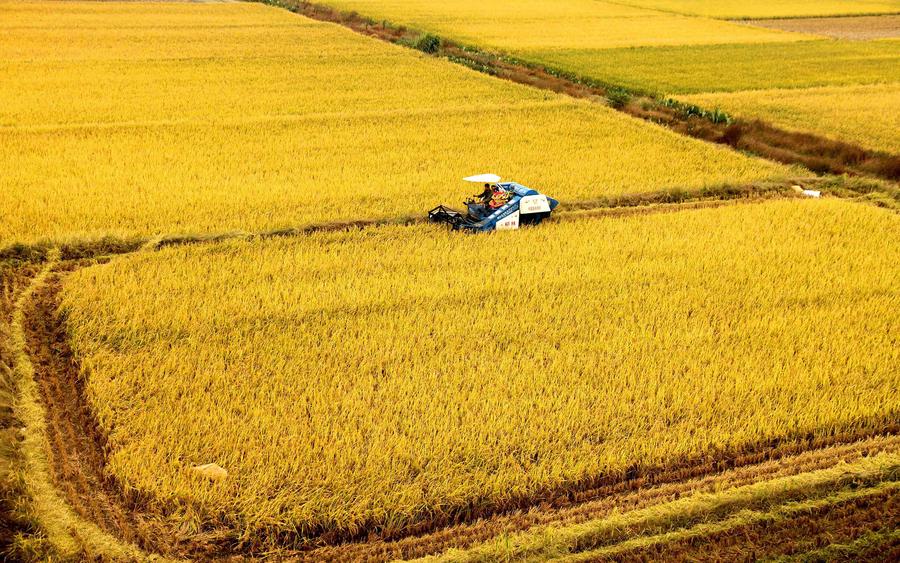 Sights of Cold Dew around China