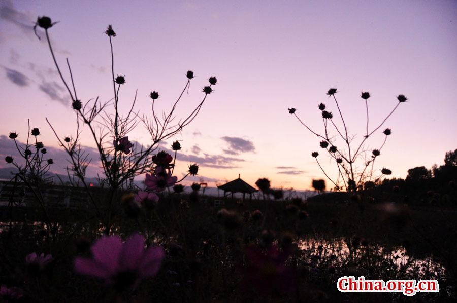 Amazing autumn scenery of Caohai Lake