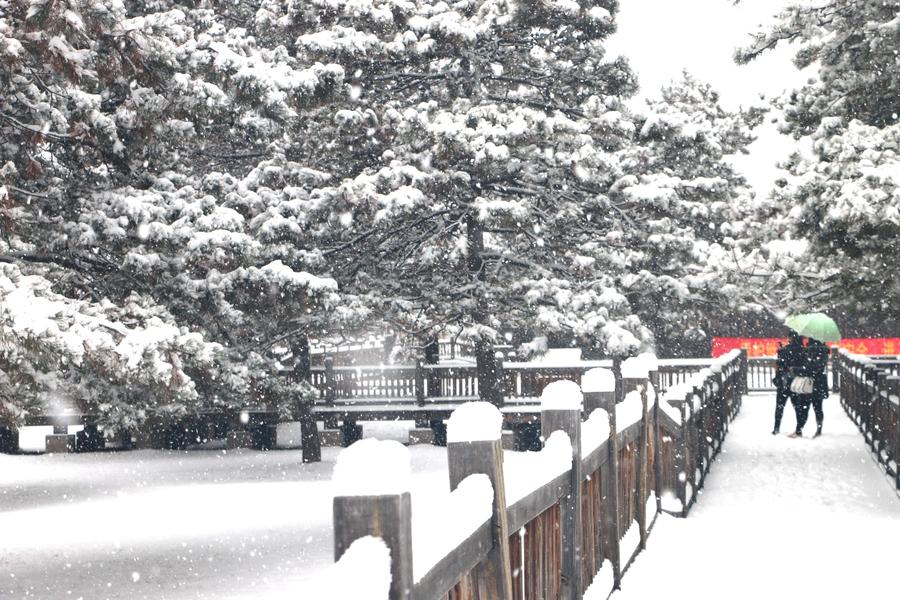 Snowfall witnessed in N China