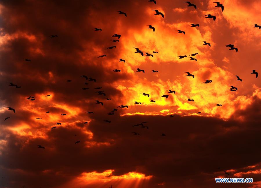 Stunning scenery of crimson clouds in NE China