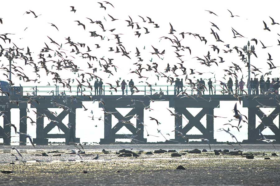 Astronomical tide brings spectacular view to Qingdao