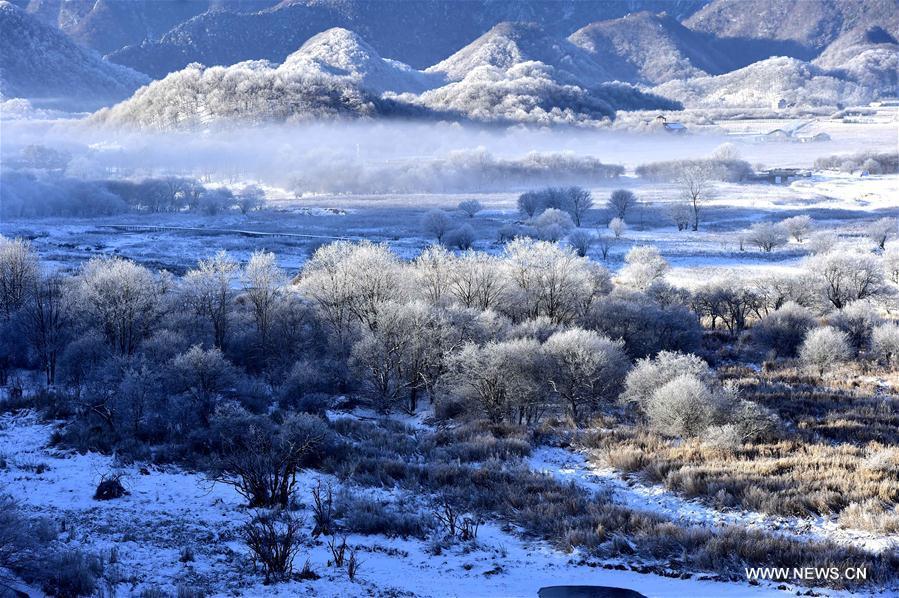 Snow scenery of Dajiuhu National Wetland Park in Hubei