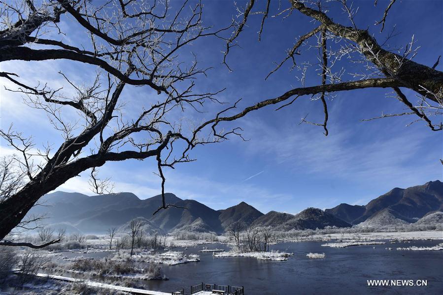 Snow scenery of Dajiuhu National Wetland Park in Hubei