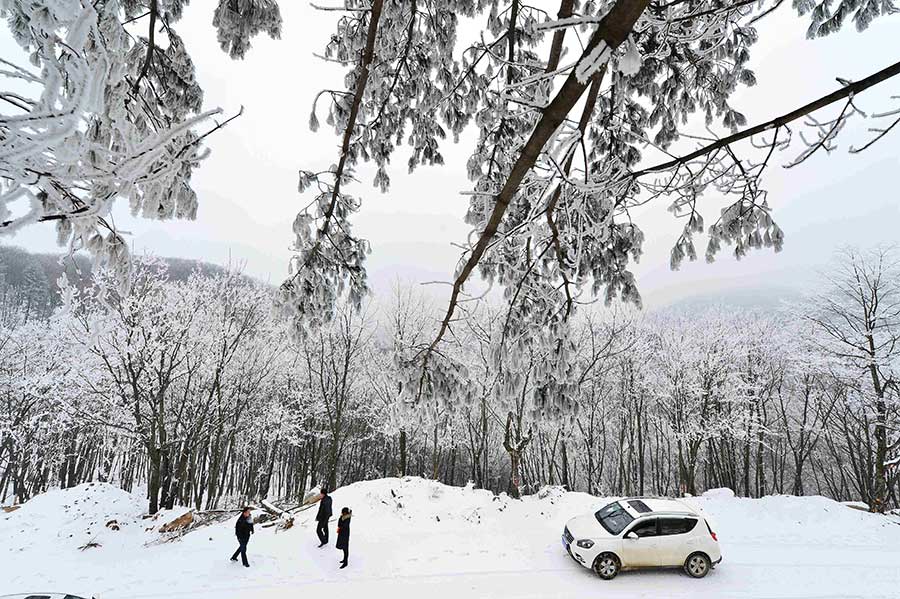 Rime scenery at Longping township, C China