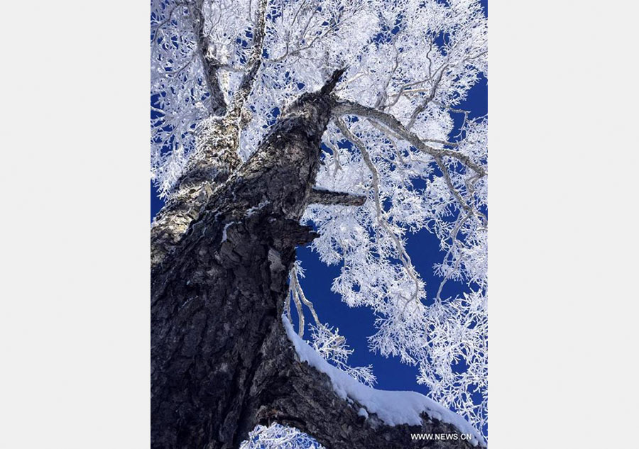 Rime scenery in NE China's Jilin